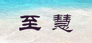 至慧品牌logo