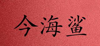 今海鯊品牌logo