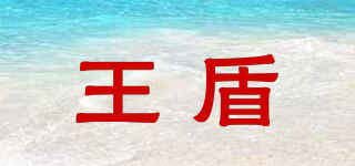 王盾品牌logo