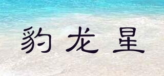 豹龍星品牌logo