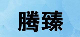 騰臻品牌logo