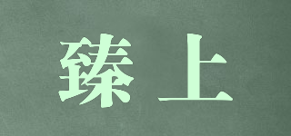 臻上品牌logo