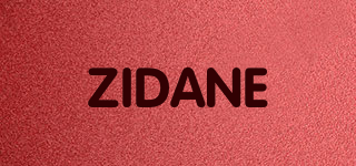 ZIDANE品牌logo