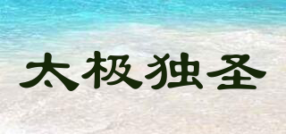 太極獨(dú)圣品牌logo