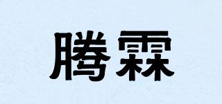 TEORLIOY/騰霖品牌logo
