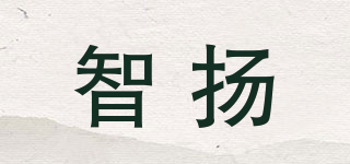 智揚(yáng)品牌logo