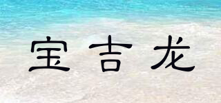 寶吉龍品牌logo