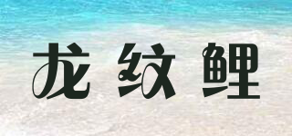 龍紋鯉品牌logo