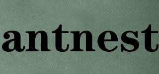 antnest品牌logo