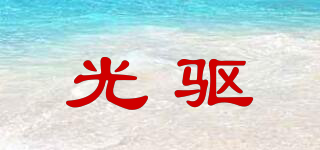 LDRIVE/光驅(qū)品牌logo