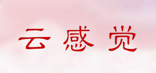 云感覺品牌logo