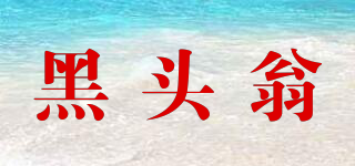 黑頭翁品牌logo