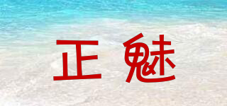 正魅品牌logo