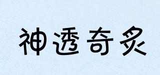 神透奇炙品牌logo