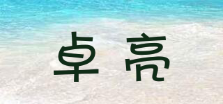 卓亮品牌logo