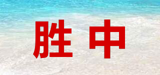 SZFB/勝中品牌logo