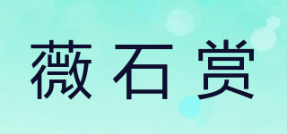 VS VIVI/薇石賞品牌logo