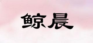 WHALEDAWN/鯨晨品牌logo
