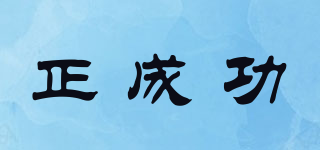 正成功品牌logo
