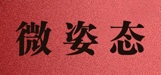 VZTI/微姿態(tài)品牌logo