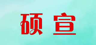 碩宣品牌logo