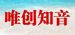 WT/唯創(chuàng)知音品牌logo