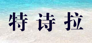特詩拉品牌logo