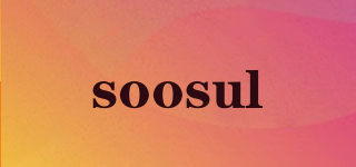 soosul品牌logo