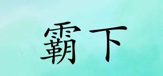 霸下品牌logo