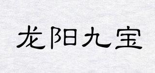 龍陽(yáng)九寶品牌logo