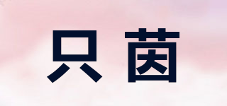 ZY/只茵品牌logo