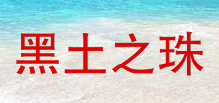 黑土之珠品牌logo