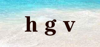 hgv品牌logo