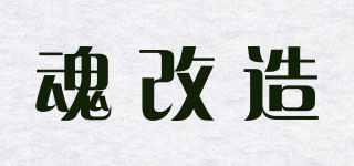 魂改造品牌logo