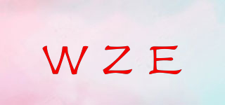 WZE品牌logo