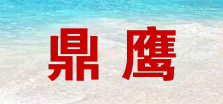 鼎鷹品牌logo