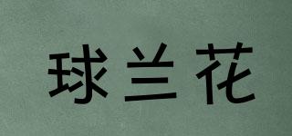 球蘭花品牌logo