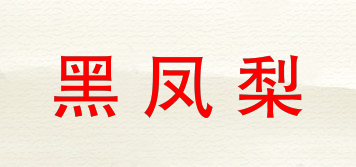黑鳳梨品牌logo