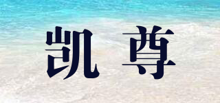 CAZOON/凱尊品牌logo