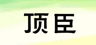 頂臣品牌logo