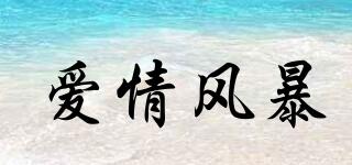 LOVEISASTORM/愛(ài)情風(fēng)暴品牌logo