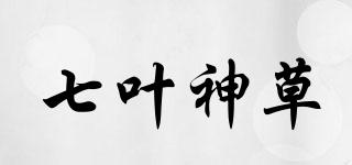 七葉神草品牌logo