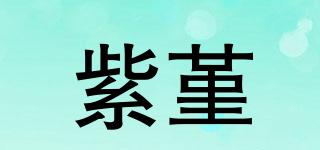 紫堇品牌logo