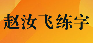 趙汝飛練字品牌logo