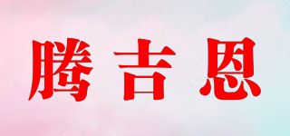 TIIGIIN/騰吉恩品牌logo