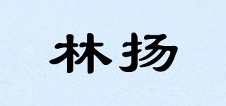 林揚品牌logo