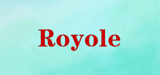 Royole品牌logo