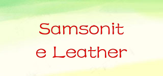 Samsonite Leather品牌logo