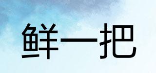 鮮一把品牌logo