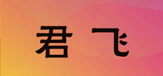 君飛品牌logo